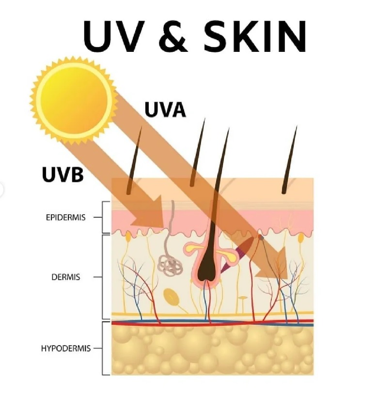 UV RADIATION & SKIN - Soumya's Skin clinic